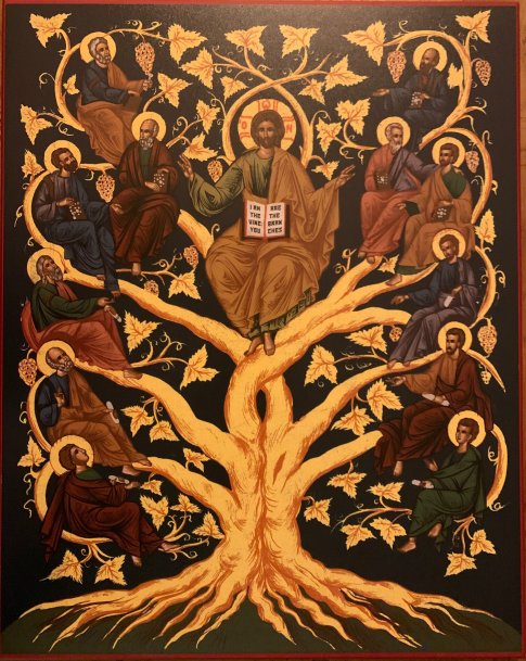 Advent Icons: I Am The Vine — Memorial Church